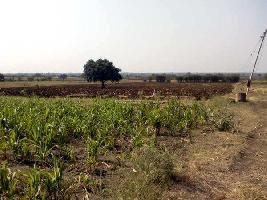  Agricultural Land for Sale in Old Ausa Road, Latur