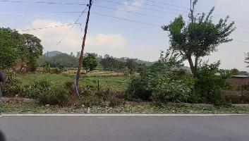  Agricultural Land for Sale in Bhaniawala, Dehradun