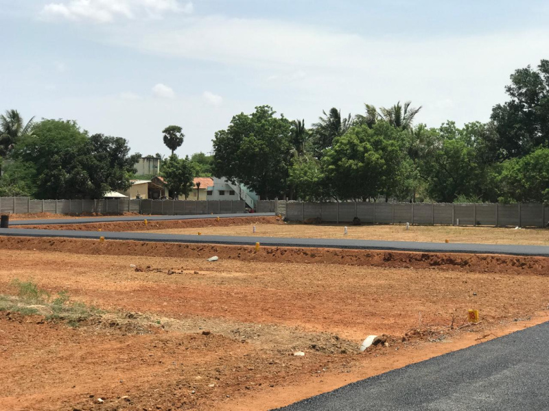  Residential Plot 1500 Sq.ft. for Sale in Shanmuga Nagar, Tiruchirappalli