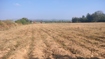  Agricultural Land for Sale in Basavanagudi, Shimoga