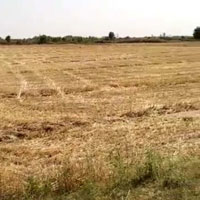  Commercial Land for Sale in Amb, Una
