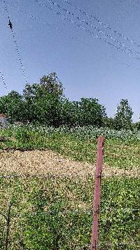  Agricultural Land for Sale in Nearby Rajpur bhahiya, Hoshiarpur, Hoshiarpur