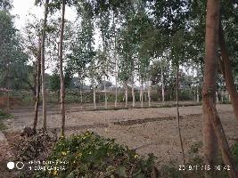  Commercial Land for Sale in Jarwal, Bahraich