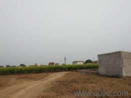  Agricultural Land for Sale in Shakarpur, Delhi