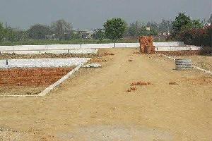  Agricultural Land for Sale in Najafgarh, Delhi