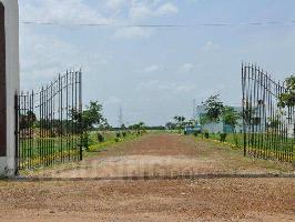  Agricultural Land for Sale in Chhawla, Delhi