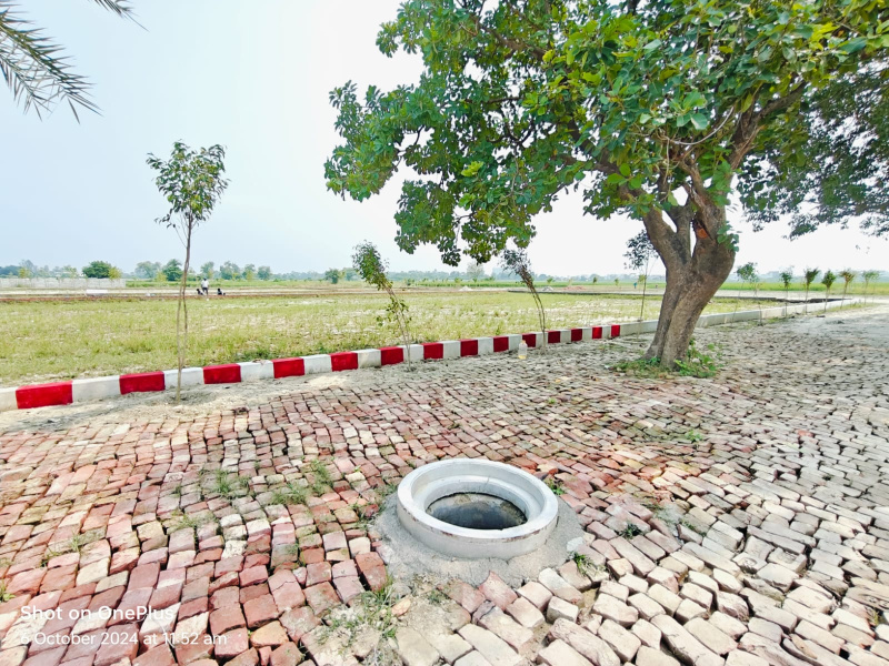  Residential Plot 1200 Sq.ft. for Sale in Kalli Poorab, Lucknow
