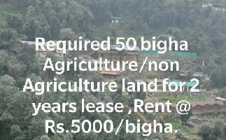 Agricultural Land for Rent in DEHRADUN, Dehradun, Dehradun