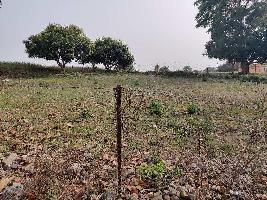  Agricultural Land for Sale in Chakrata Road, Dehradun