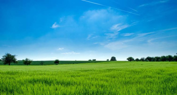  Industrial Land for Sale in Chakan, Pune