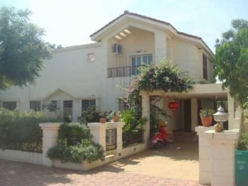 3.5 BHK Villa for Rent in Kharadi, Pune