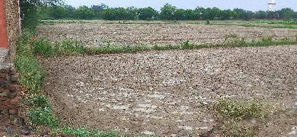  Agricultural Land for Sale in Jhajjar Road, Rohtak