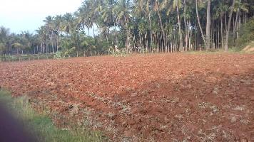 Agricultural Land for Sale in Pooluvapatti, Coimbatore