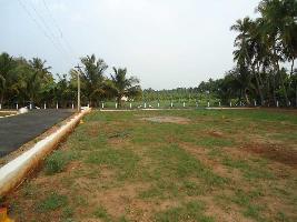  Residential Plot for Sale in Gobichettipalayam, Erode