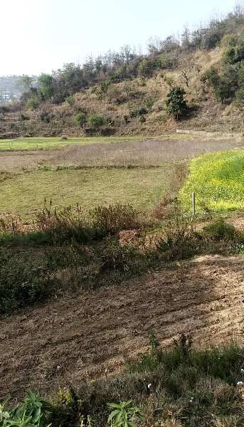  Residential Plot 1 Bigha for Sale in Morni Hills, Panchkula