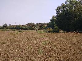  Agricultural Land for Sale in Sarigam, Vapi