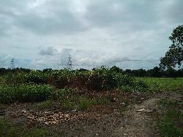  Agricultural Land for Sale in Degam, Vapi, Vapi