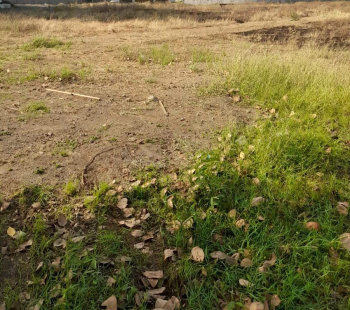  Agricultural Land for Sale in Pardi, Valsad