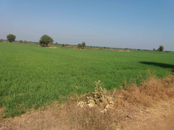Agricultural Land for Sale in Pardi, Valsad