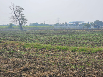  Agricultural Land for Sale in Dahanu, Palghar