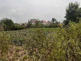  Agricultural Land for Rent in Sukhrampur, Rupnagar