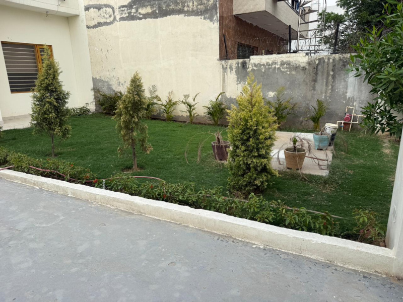 Saha, Ambala photo 5