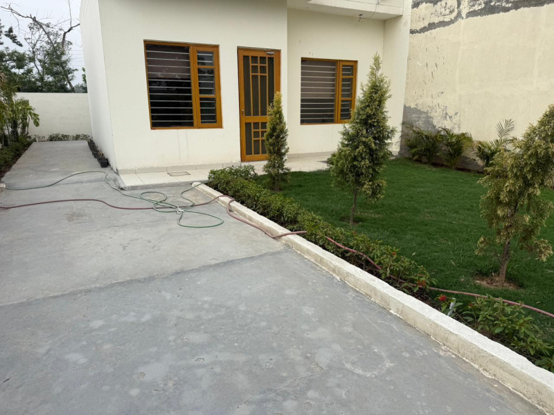 Saha, Ambala photo 4