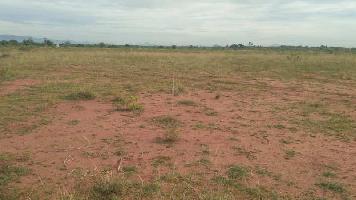  Industrial Land for Sale in Pachpadra, Barmer