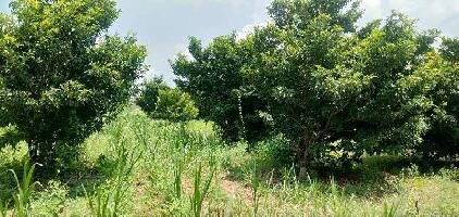  Agricultural Land for Sale in Orvakal, Kurnool