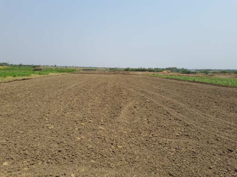 Agricultural Land 4 Acre for Sale in Baramati, Pune
