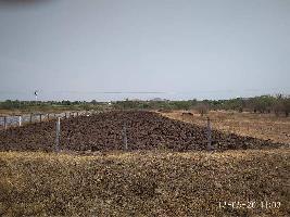  Agricultural Land for Rent in Dindori, Nashik