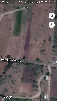  Agricultural Land for Rent in Dindori, Nashik