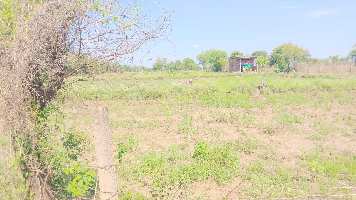  Agricultural Land for Sale in Kothi, Satna