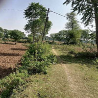  Agricultural Land for Sale in Dhawari, Satna