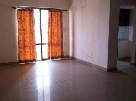 1 BHK House for Rent in Seven Bungalows, Andheri West, Mumbai