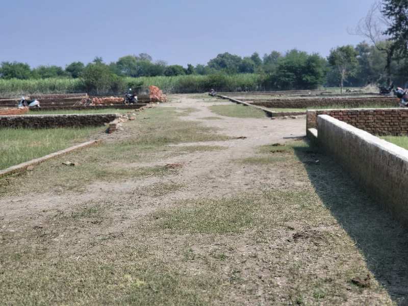 1000 Sq.ft. Residential Plot for Sale in Sultanpur Road, Lucknow