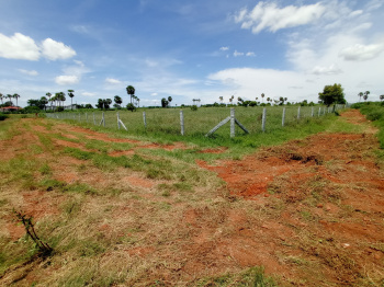  Agricultural Land for Sale in Tiruchengode, Namakkal