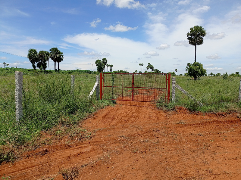  Agricultural Land 5 Acre for Sale in Tiruchengode, Namakkal