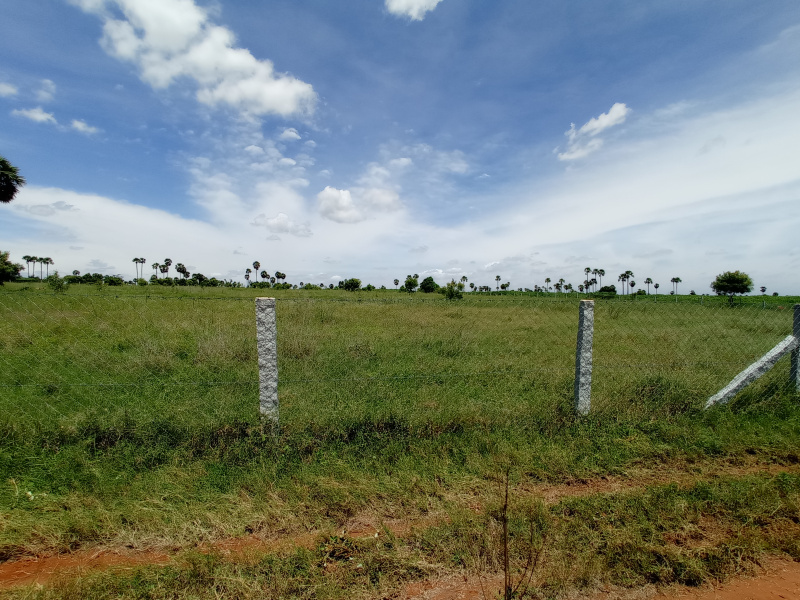  Agricultural Land 5 Acre for Sale in Tiruchengode, Namakkal