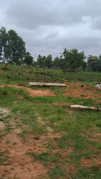  Residential Plot 3 Acre for Sale in Devanahalli, Bangalore