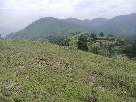  Agricultural Land for Rent in Rajgarh, Sirmour