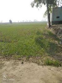  Farm House for Sale in Sector 8 Jind