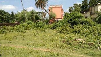  Residential Plot for Sale in Bahugram, Cuttack