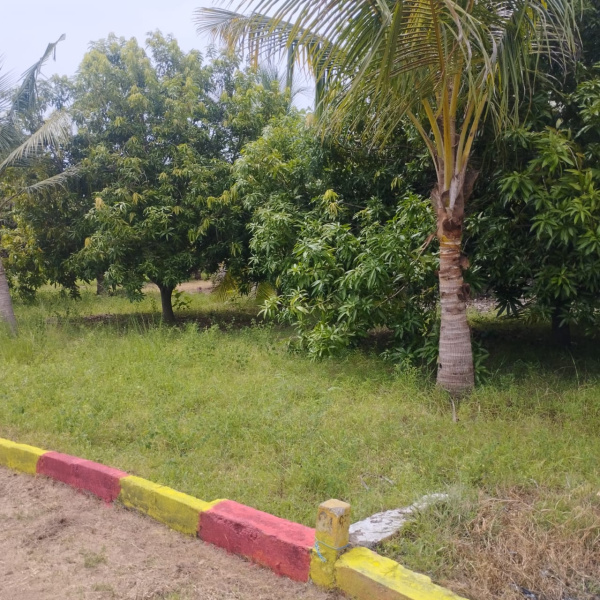  Agricultural Land 1000 Sq.ft. for Sale in Acharapakkam, Chengalpattu