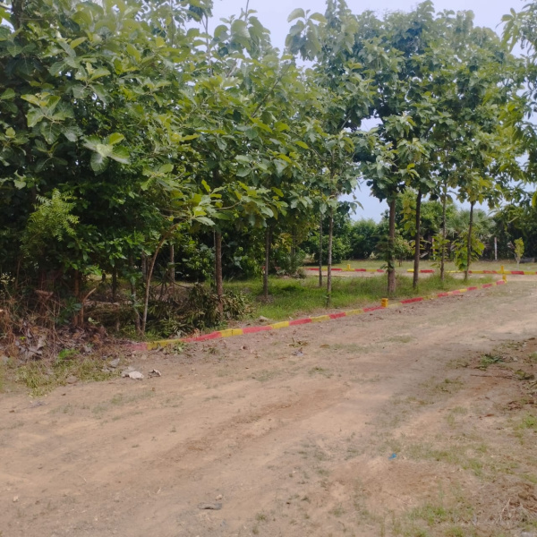  Agricultural Land 1000 Sq.ft. for Sale in Acharapakkam, Chengalpattu