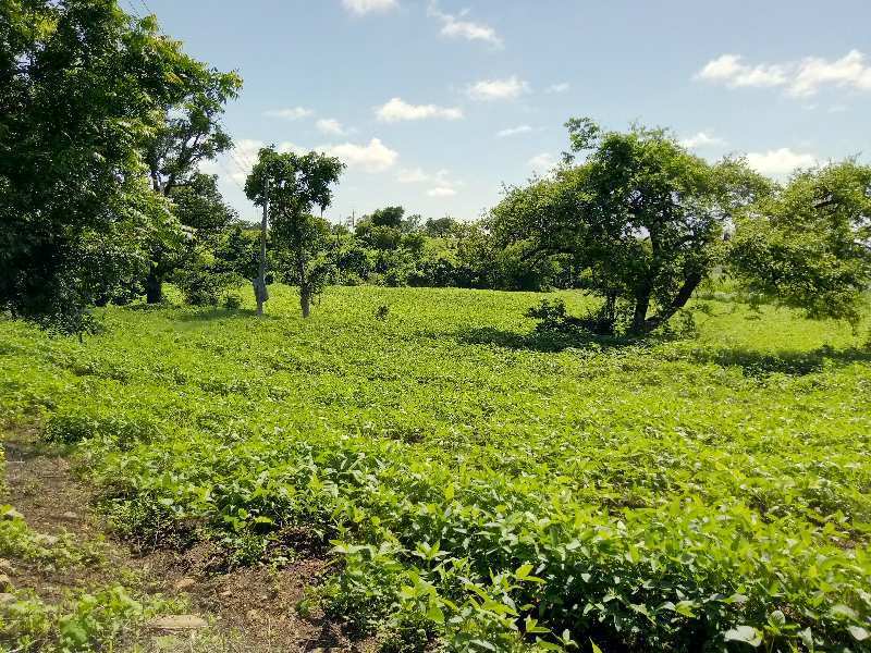  Agricultural Land 2 Hectares for Sale in Mehkar, Buldana