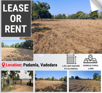  Agricultural Land for Rent in Ranoli, Vadodara