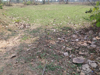  Commercial Land for Sale in Dhabani, Bankura