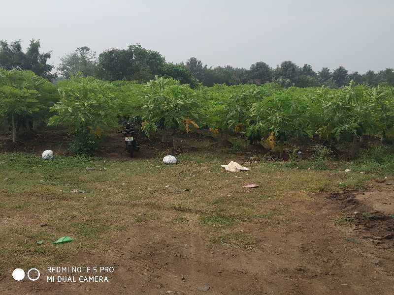  Agricultural Land 1 Acre for Sale in Kozhinjampara, Palakkad