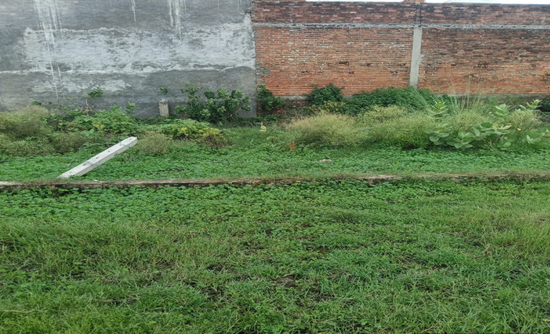  800 Sq.ft. Residential Plot for Sale in Raitha Road, Lucknow